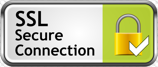 SSL Secure Connection Icon
